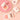 GOGOTALESSweet Mist Blush - CbeautyMall.com