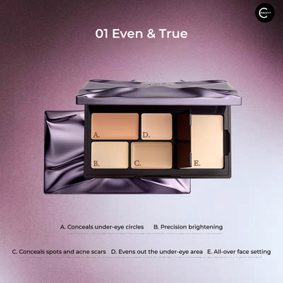INSBAHA Anti-Gene Series Concealer Palette