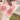 GIRLCULT Herbal Compendium Series Mirror lipstick detail