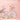COLORROSE Oil Painting Series Blush detail