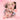 Gogotales Cloud Feel Dual Texture Lip Cream G05
