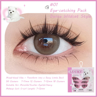 Selbstklebende Cluster-Wimpern von FLORTTE