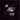 🎁 Girlcult Gift (100% off)